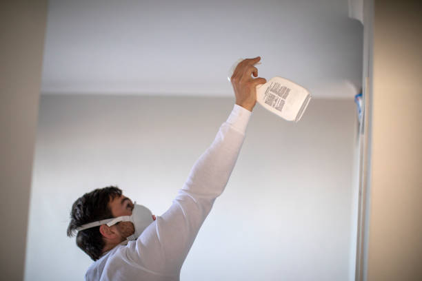 Best Localized Mold Remediation (e.g., coastal areas, humid climates) in Booneville, AR